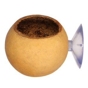 Terrario Hang Bowl Natural - łupina miska wisząca z przyssawką sklep akwarystyczny śląsk