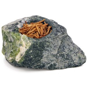Terrario Hard Rock Dish M - miska w naturalnej skale sklep akwarystyczny śląsk