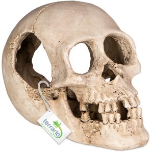 Terrario Human Skull XL - ozdoba do terrarium 15x10x9 cm sklep akwarystyczny śląsk