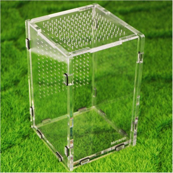 Akwarium / terrarium / Animals