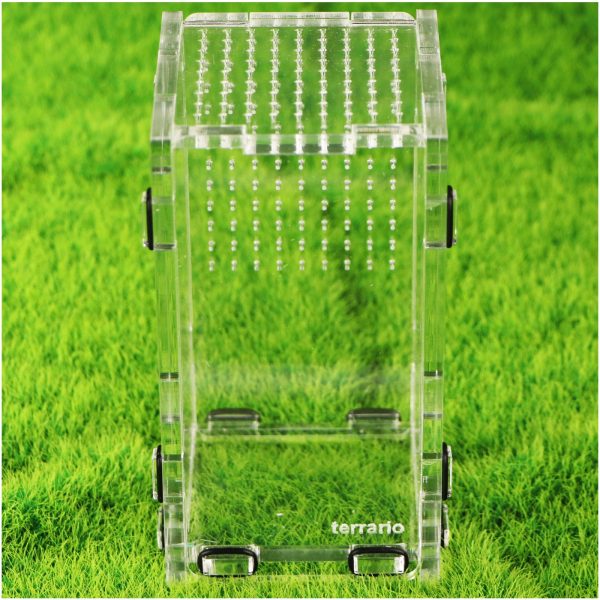 Akwarium / terrarium / Animals