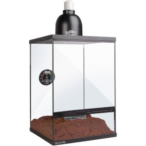 Terrario Oasis Verde 10 - terrarium 30x30x45 z zestawem sklep akwarystyczny śląsk