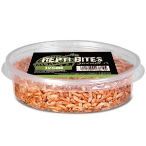 Terrario Repti Bites Gammarus 125ml - kiełż zdrojowy suszony sklep akwarystyczny śląsk