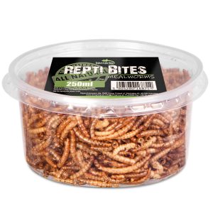 Terrario Repti Bites Mealworms 250ml - larwy mącznika suszone sklep akwarystyczny śląsk