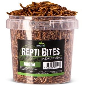 Terrario Repti Bites Mealworms 500ml - larwy mącznika suszone sklep akwarystyczny śląsk