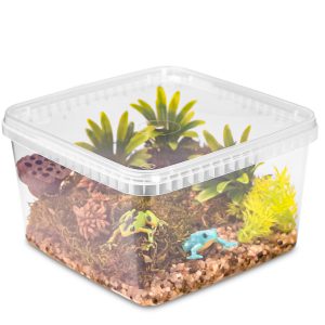 Terrario ReptiBox 19x19x12cm - przeźroczyste terrarium faunarium sklep akwarystyczny śląsk