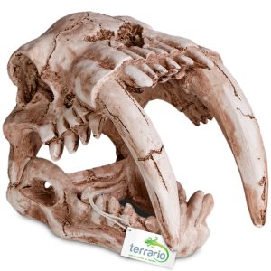 Terrario Sabertooth Skull  - kryjówka do terrarium 13x8
