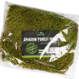 Terrario Shadow Forest Moss - mech naturalny 35x28cm sklep akwarystyczny śląsk
