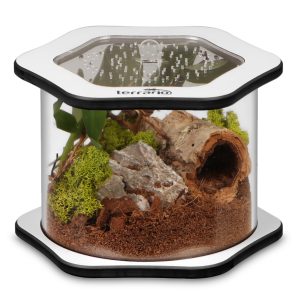 Terrario Spiders Tube Big100 - terrarium akrylowe sklep akwarystyczny śląsk