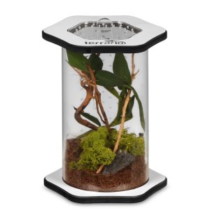 Terrario Spiders Tube Tall100 - terrarium akrylowe sklep akwarystyczny śląsk