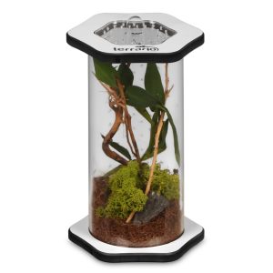 Terrario Spiders Tube Tall150 - terrarium akrylowe sklep akwarystyczny śląsk
