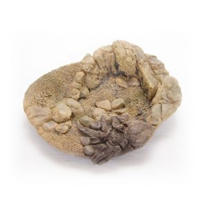 Terrario TerraPond L - miska / oczko wodne 30x23x8 sklep akwarystyczny śląsk