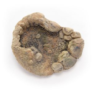 Terrario TerraPond M - miska / oczko wodne 23x18x6cm sklep akwarystyczny śląsk