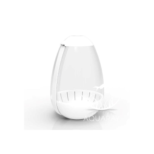 Terrarium w kształcie jajka / Tiny terrarium egg (360-001)