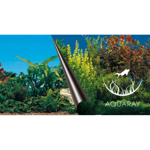 Tło dwustronne BEAUTY + SEA 80x40cm (241-108932)