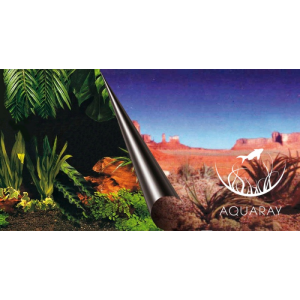 Tło dwustronne JUNGLE + DESERT 80x40cm (241-109090)