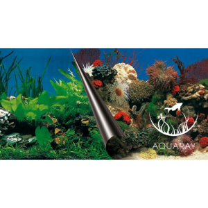 Tło dwustronne STONE + CORAL 80x40cm (241-108857)