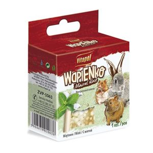 Vitapol - kostka wapienna z miętą dla gryzoni i królików sklep akwarystyczny śląsk