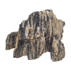 WIO GREY FOSSIL WOOD STONE 10-30CM 1KG sklep akwarystyczny śląsk
