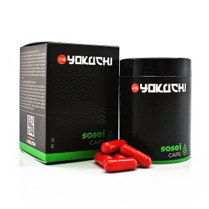 YOKUCHI SOSEI CAPS - nawóz do podłoża 80sztuk sklep akwarystyczny śląsk