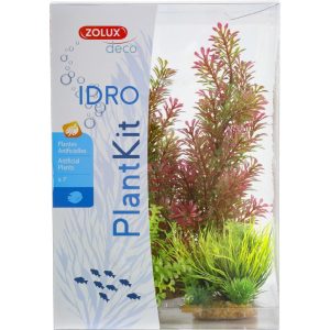 ZOLUX PLANTKIT IDRO N°1 (352150) sklep akwarystyczny śląsk
