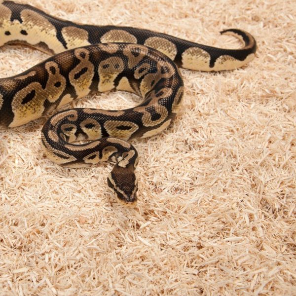 ZOOMED PODLOZE ASPEN SNAKE 26L sklep akwarystyczny / terrarystyczny