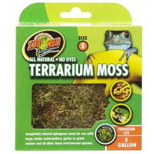 Zoomed Terrarium Moss 1