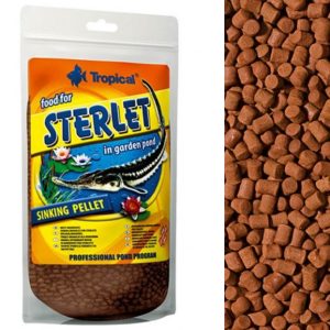TROPICAL FOOD FOR STERLET