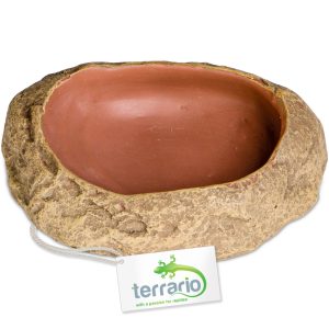 Terrario Rock Oasis S – Miska do Terrarium 10x6