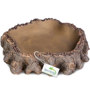 Terrario Root Bowl – Miska do Terrarium 16x16x4 cm sklep akwarystyczny śląsk