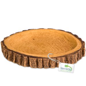 Terrario Tree Ring Bowl M – Miska do Terrarium 12x11x1