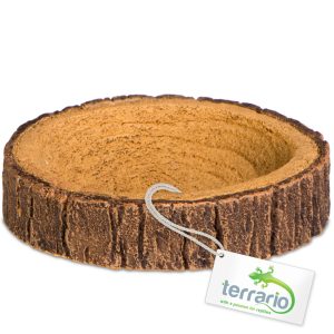 Terrario Tree Ring Bowl XS – Miska do Terrarium 6x5x1 cm sklep akwarystyczny śląsk