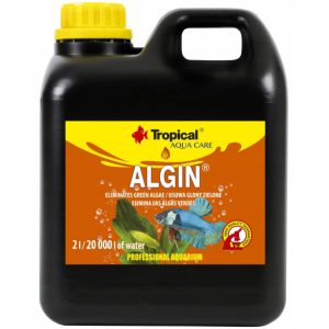 Tropical Algin