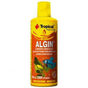Tropical Algin
