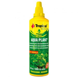 Tropical Aqua Plant