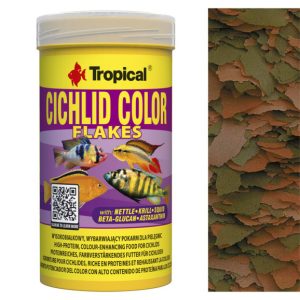Tropical CICHLID COLOR