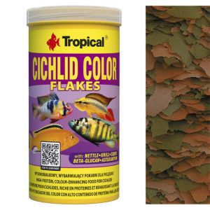 Tropical CICHLID COLOR