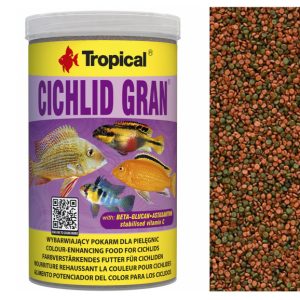 Tropical CICHLID GRAN