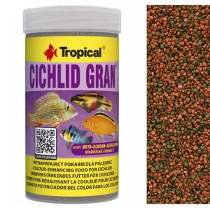 Tropical CICHLID GRAN