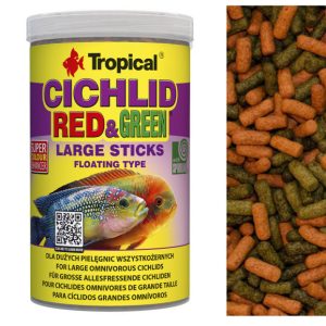Tropical CICHLID RED GREEN L