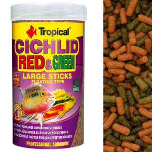 Tropical CICHLID RED GREEN L
