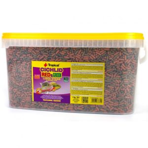 Tropical Cichlid Red Green L