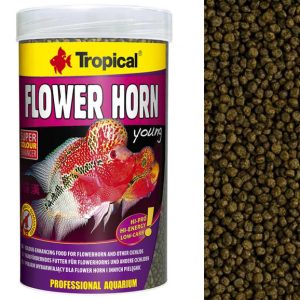 Tropical FLOWER HORN YOUNG