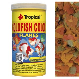 Tropical GOLDFISH COLOUR