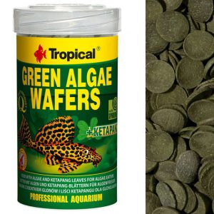 Tropical GREEN ALGAE WAFERS