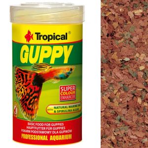 Tropical GUPPY