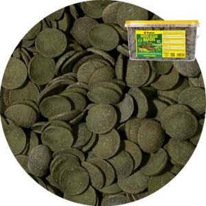 Tropical Green Algae Wafers 300g