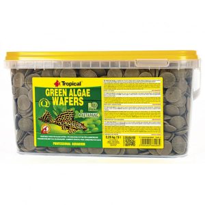 Tropical Green Algae Wafers