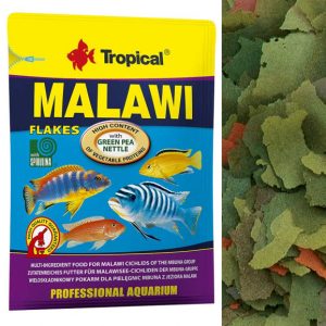 Tropical Malawi 12g