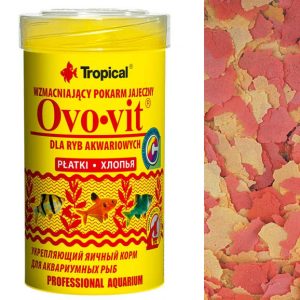 Tropical OVO-VIT